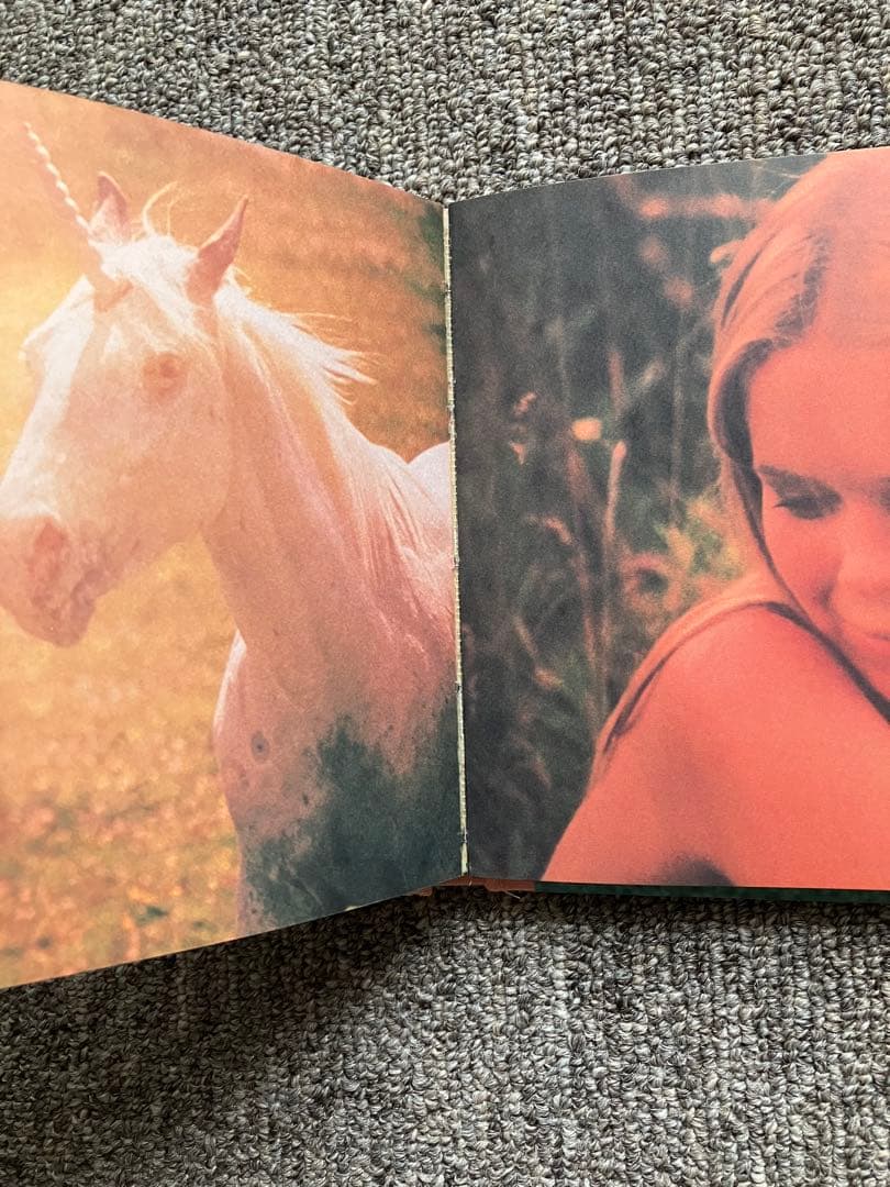 アート・デザイン・音楽 the virgin suicides / sofia coppola