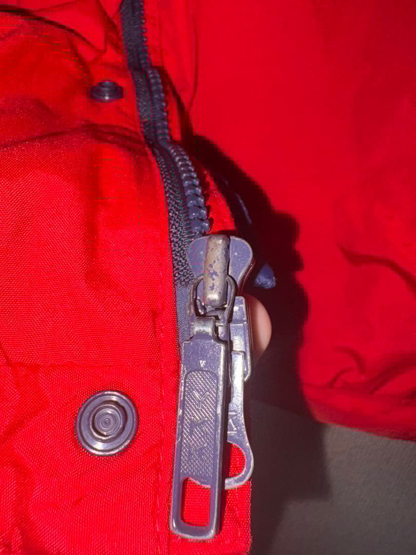 シェルドシンチラ　patagonia