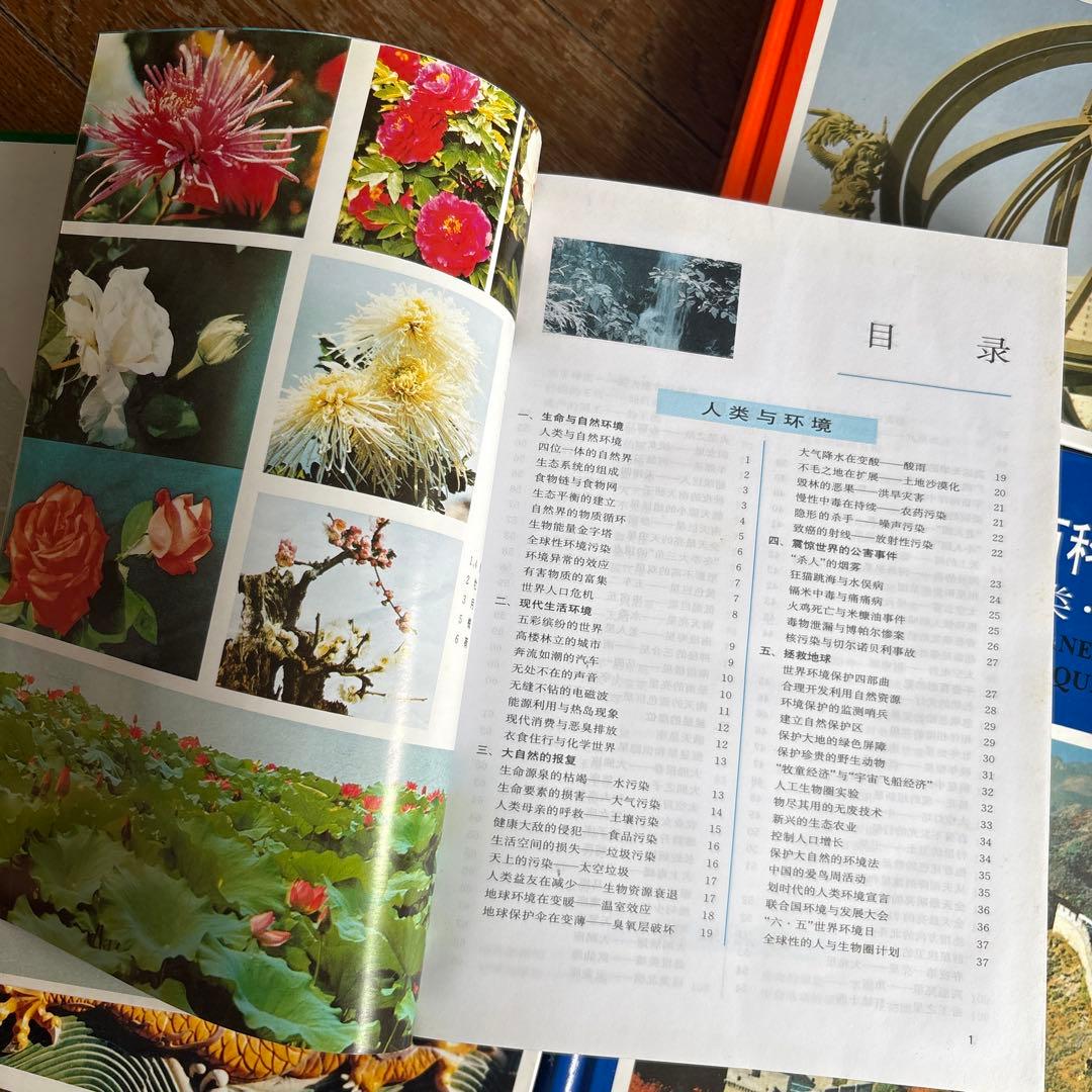 中国少年儿童百科全书 全4巻セット