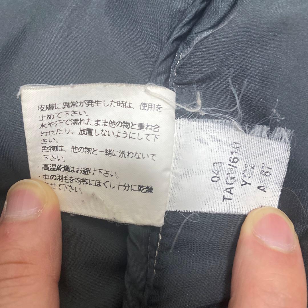 【希少カラー、Lサイズ】ノースフェイス ヌプシダウン センターロゴND00360