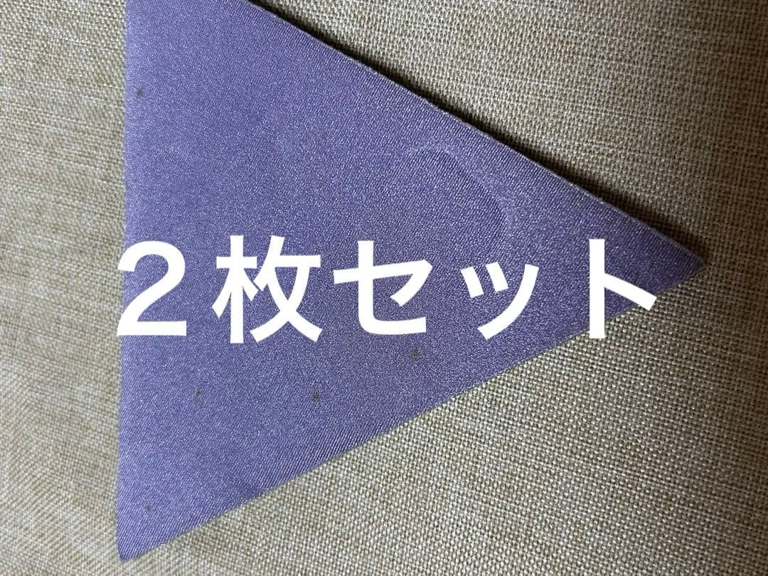 バイオラバー三角　２枚セット　ベルト付き