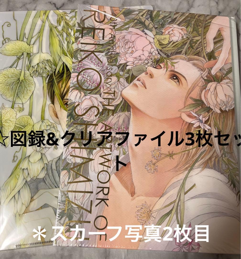 清水玲子　原画展　図録　イラスト集　クリアファイル　スカーフ