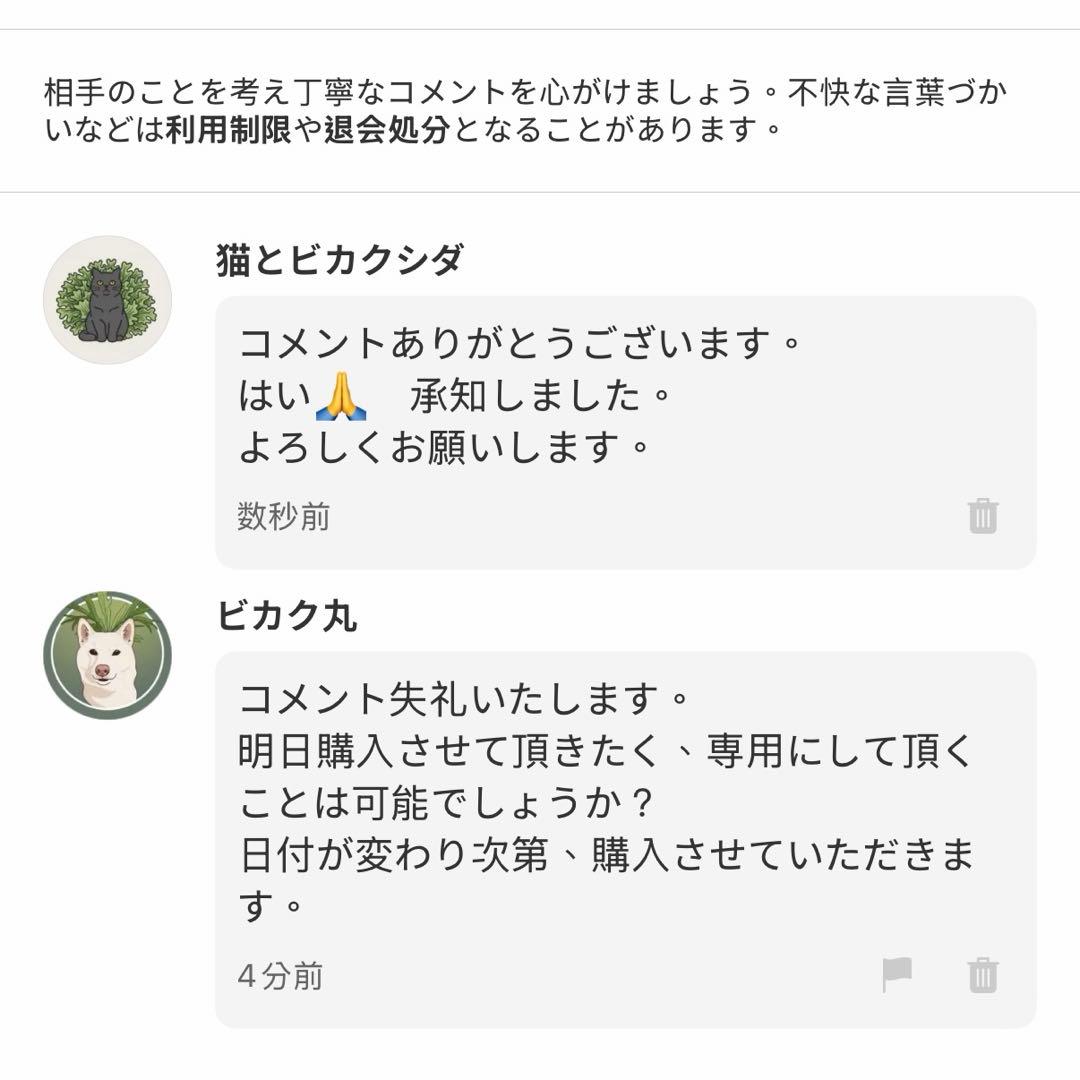 [ビカク丸]板付 極美株 Willinckii Golden Boy