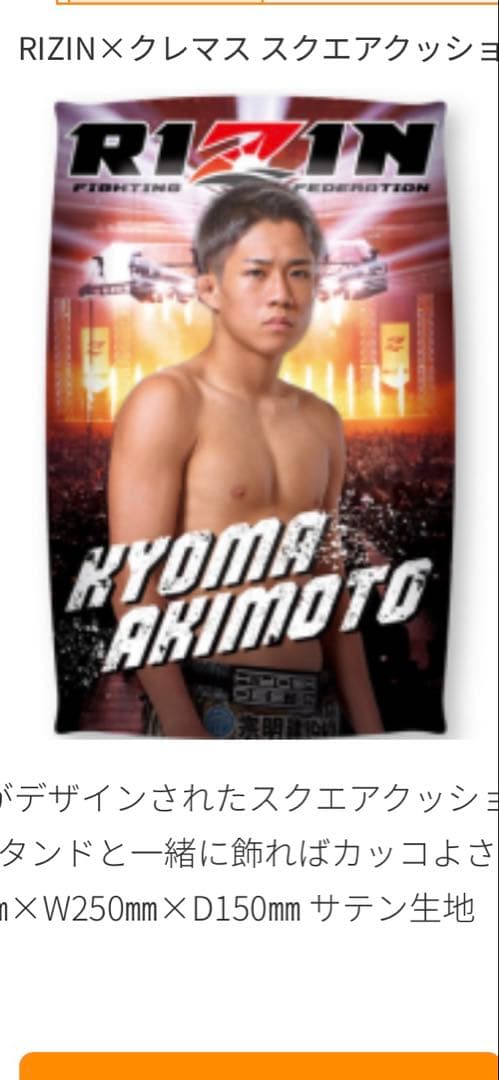 秋元強真　クッション　ポスター RIZIN