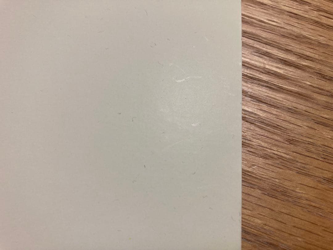 スピッツ　一期一会　レコード　アナログ盤　LP盤　レア物