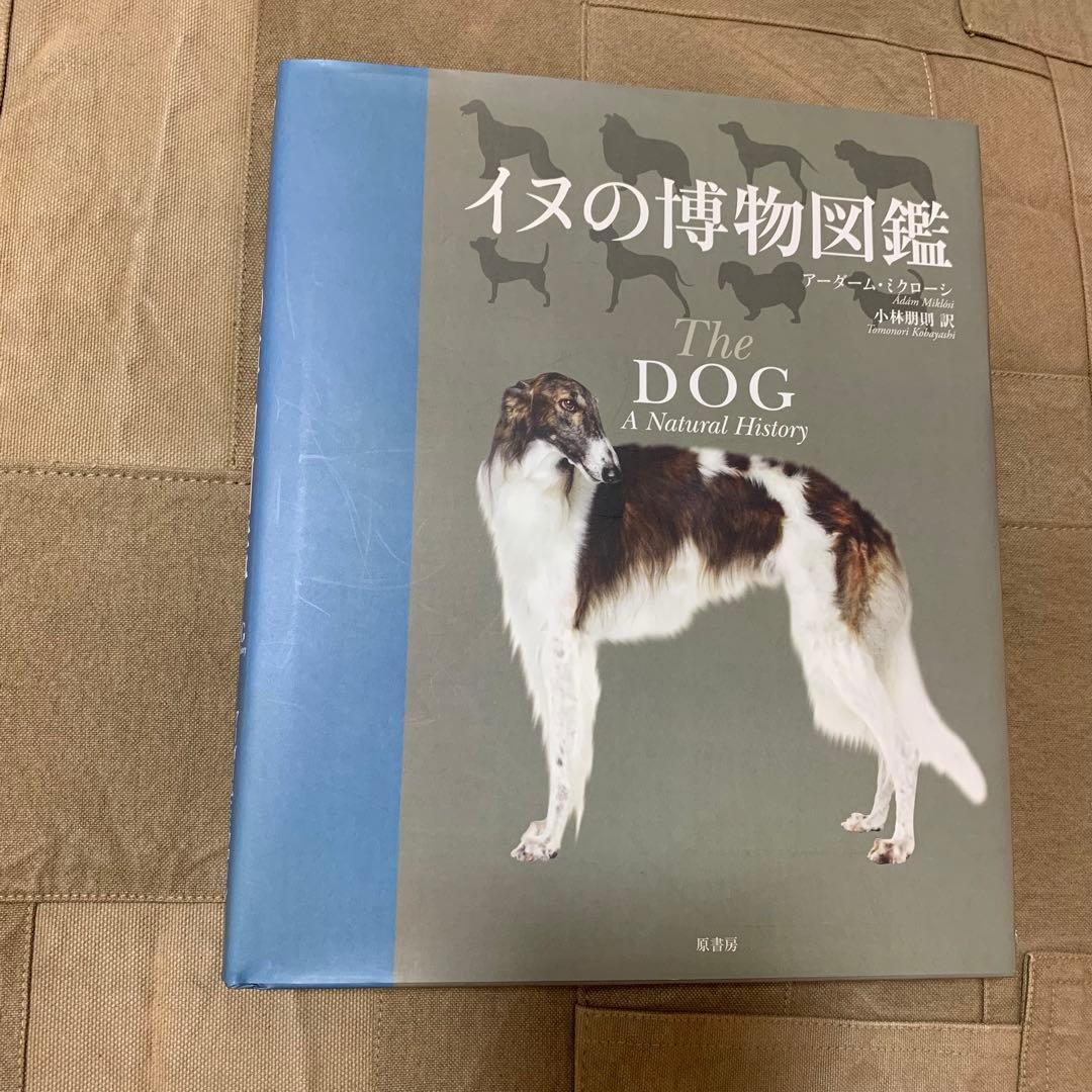 【希少！】イヌの博物図鑑／アーダーム・ミクローシ(著)