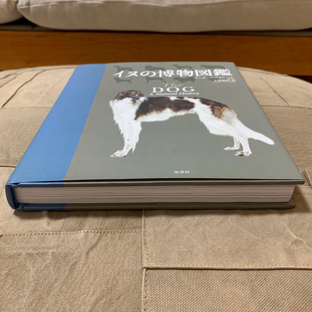 【希少！】イヌの博物図鑑／アーダーム・ミクローシ(著)