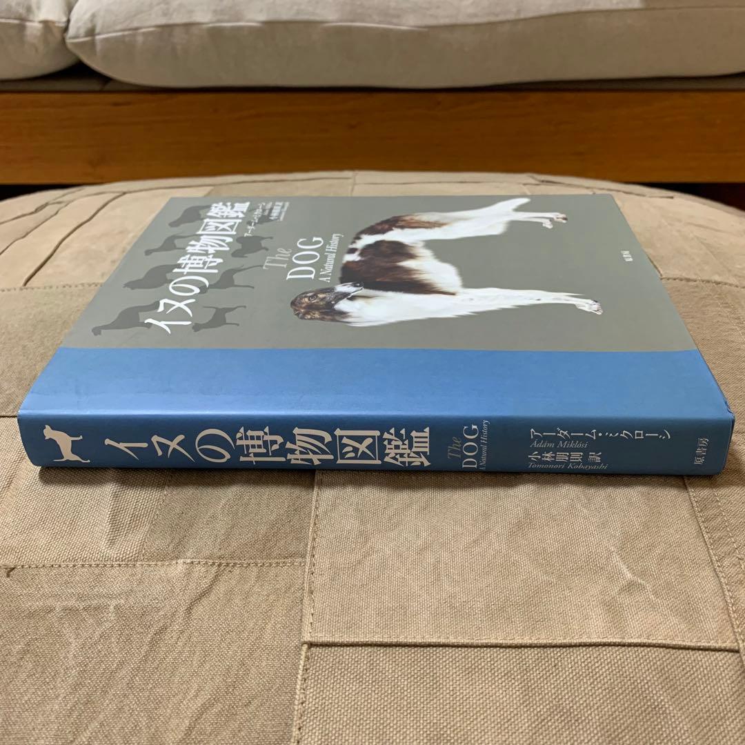 【希少！】イヌの博物図鑑／アーダーム・ミクローシ(著)