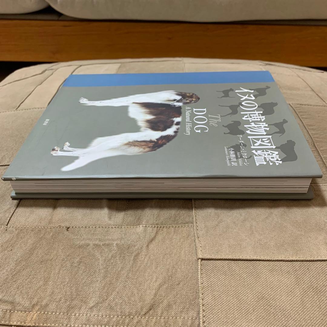 【希少！】イヌの博物図鑑／アーダーム・ミクローシ(著)