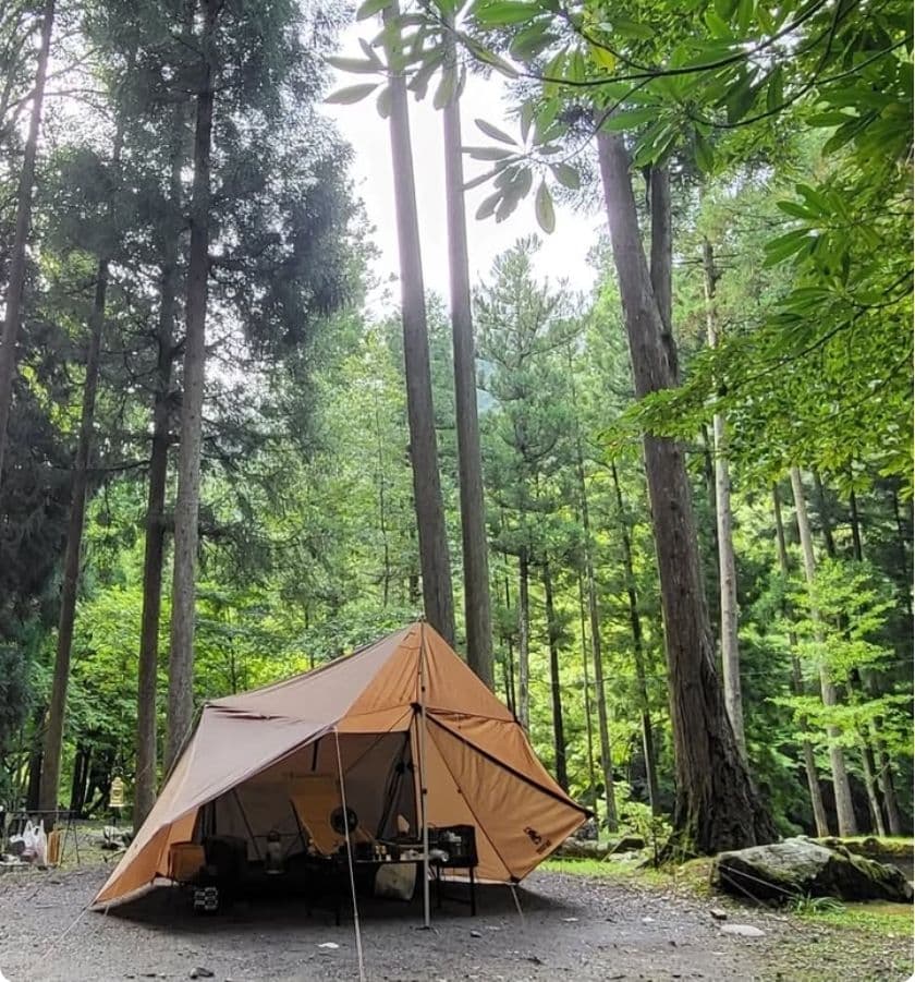 ワンティグリス ロックシールド インナーおまけ