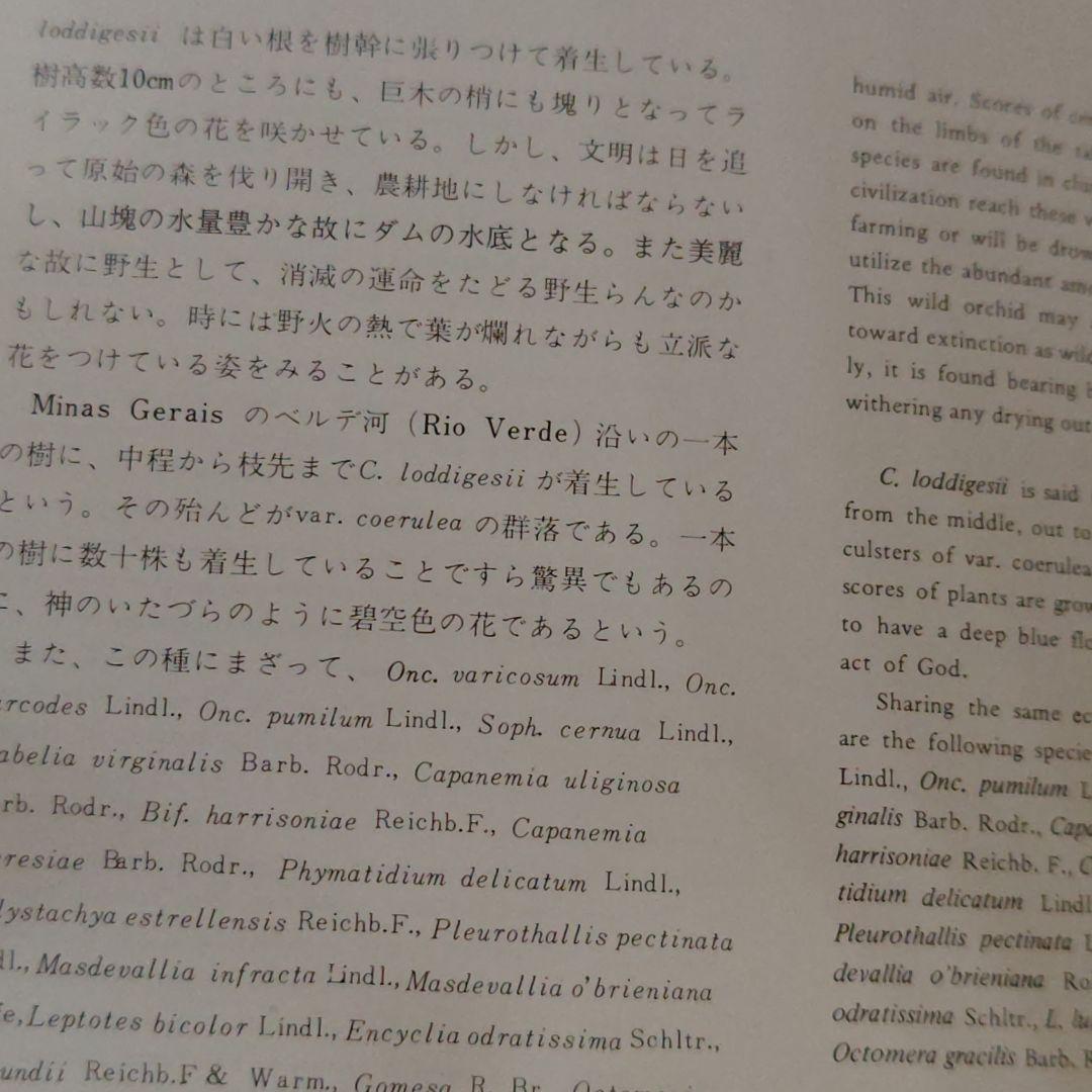 幻の本 ブラジルの野生らん