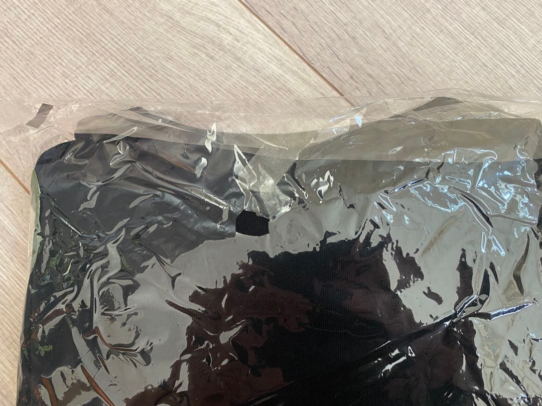 BUCK-TICK 異空 ALTERNATIVE SUN BIG Tシャツ L