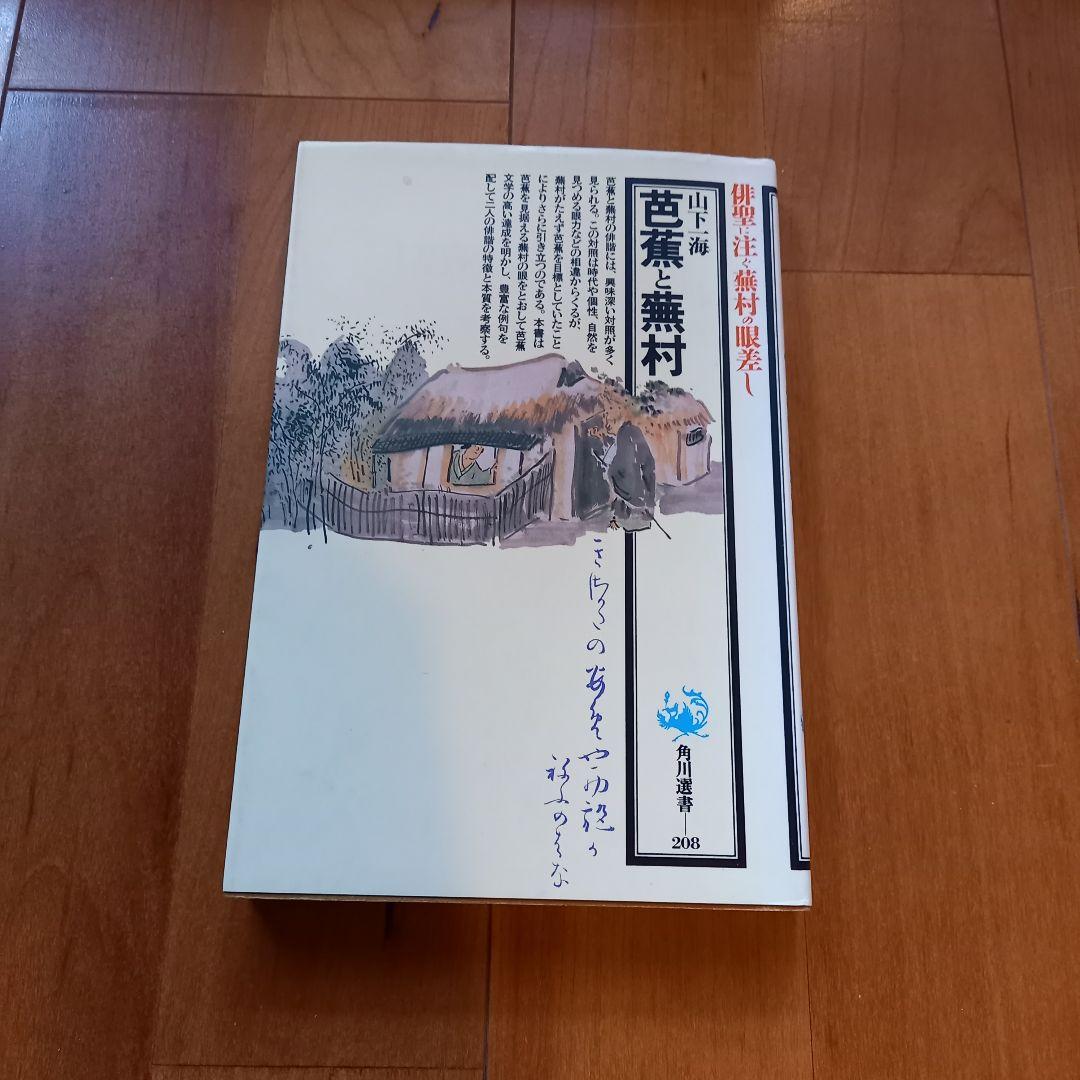 【画家】＋【俳人】蕪村セット 大判含む14冊