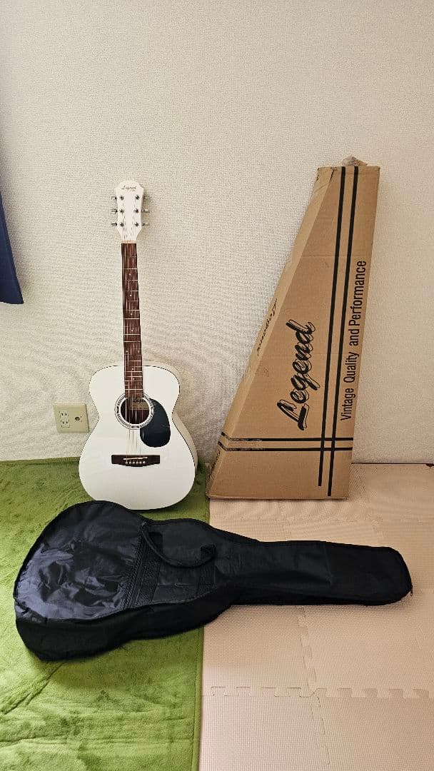 LEGEND レジェンド/ byAria アコースティックギター FG-15