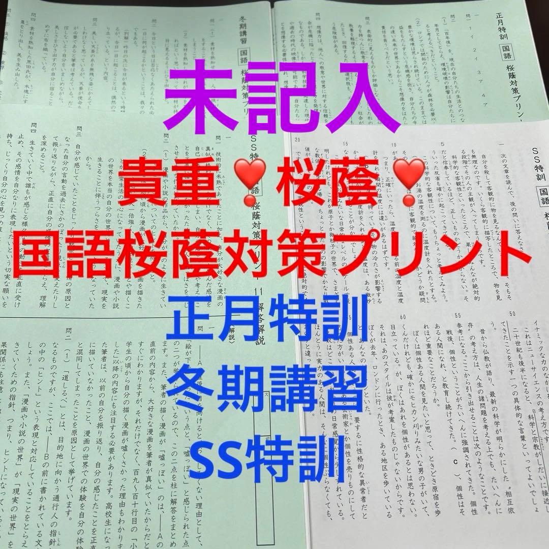 ㉓A SAPIX サピックス　貴重❣️ 国語桜蔭対策プリント　フルセット❣️