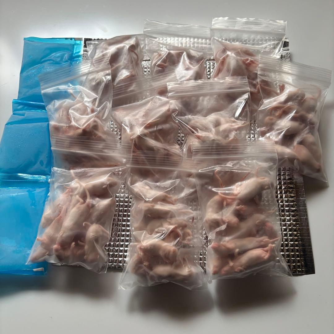 たけ　冷凍マウス ピンクマウス L 200匹セット 送料込み