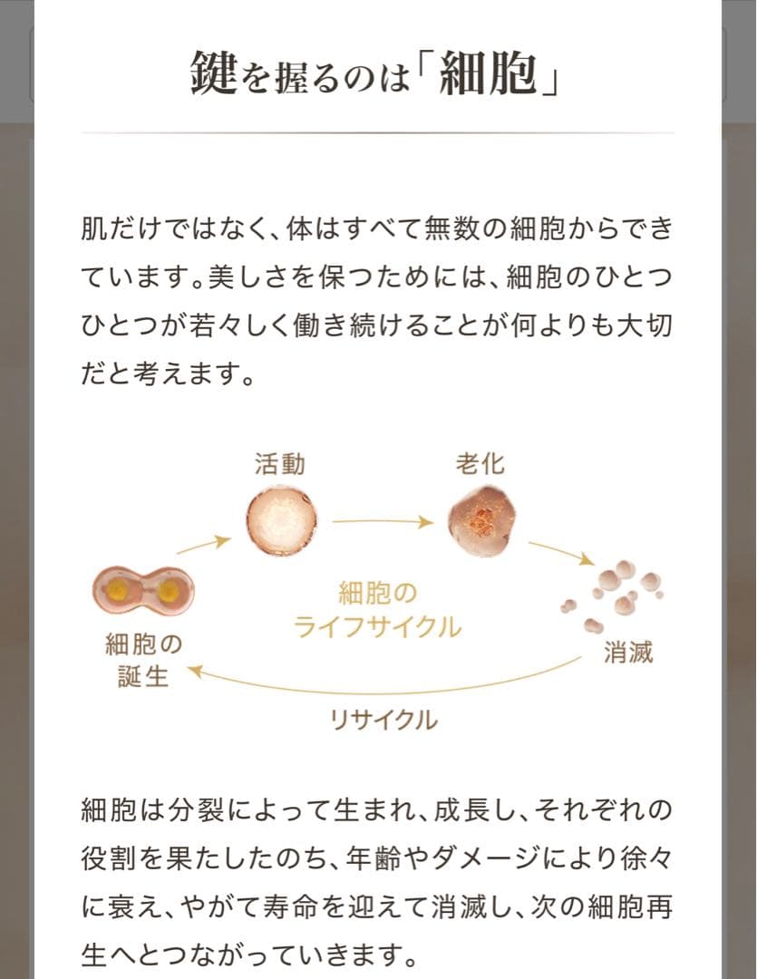 【新品未開封】アムウェイ ロンジェビティ クリーム レフィル 定価45900円