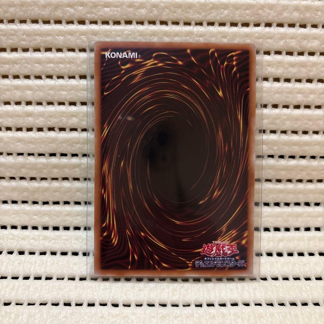 遊戯王 大輪の霊使い プリシク