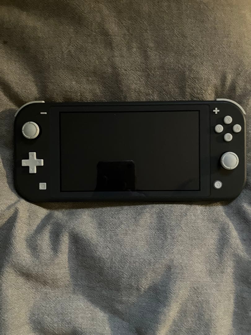 【美品】 Nintendo Switch Lite 本体 グレー ケース付き