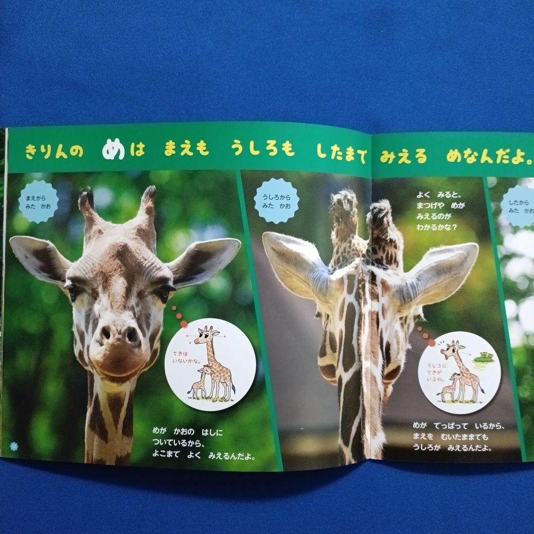 かがくのとも　ビッグサイエンス　キンダーブックしぜん　きりんさんの絵本