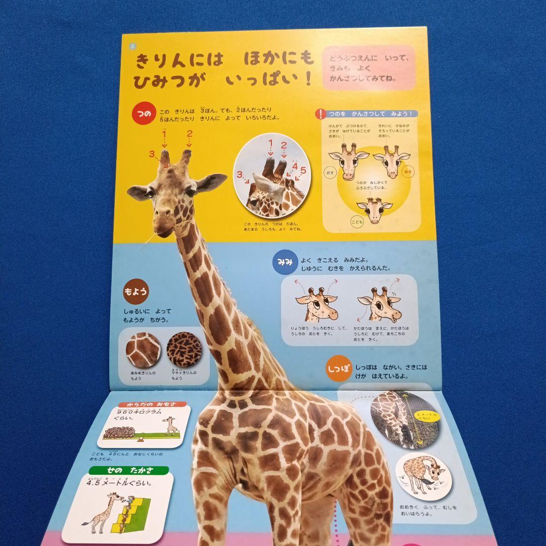 かがくのとも　ビッグサイエンス　キンダーブックしぜん　きりんさんの絵本