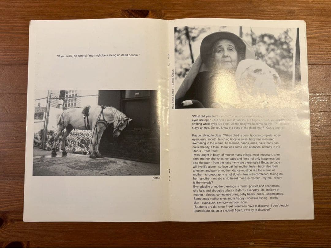 アート・デザイン・音楽 ACCATONE PRESENTE