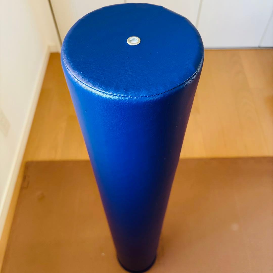 新品 未使用StretchPole LPN ストレッチポール EX DVD付き