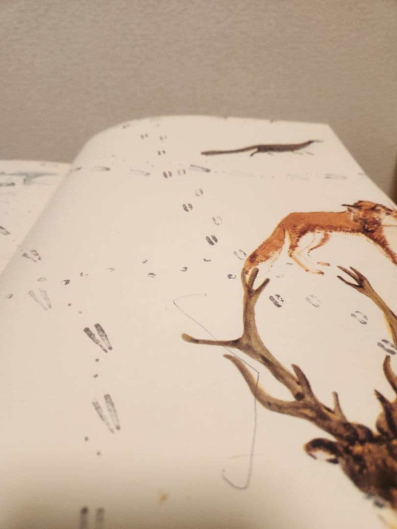 【希少】チャイクロ 全11巻　1974年　13版