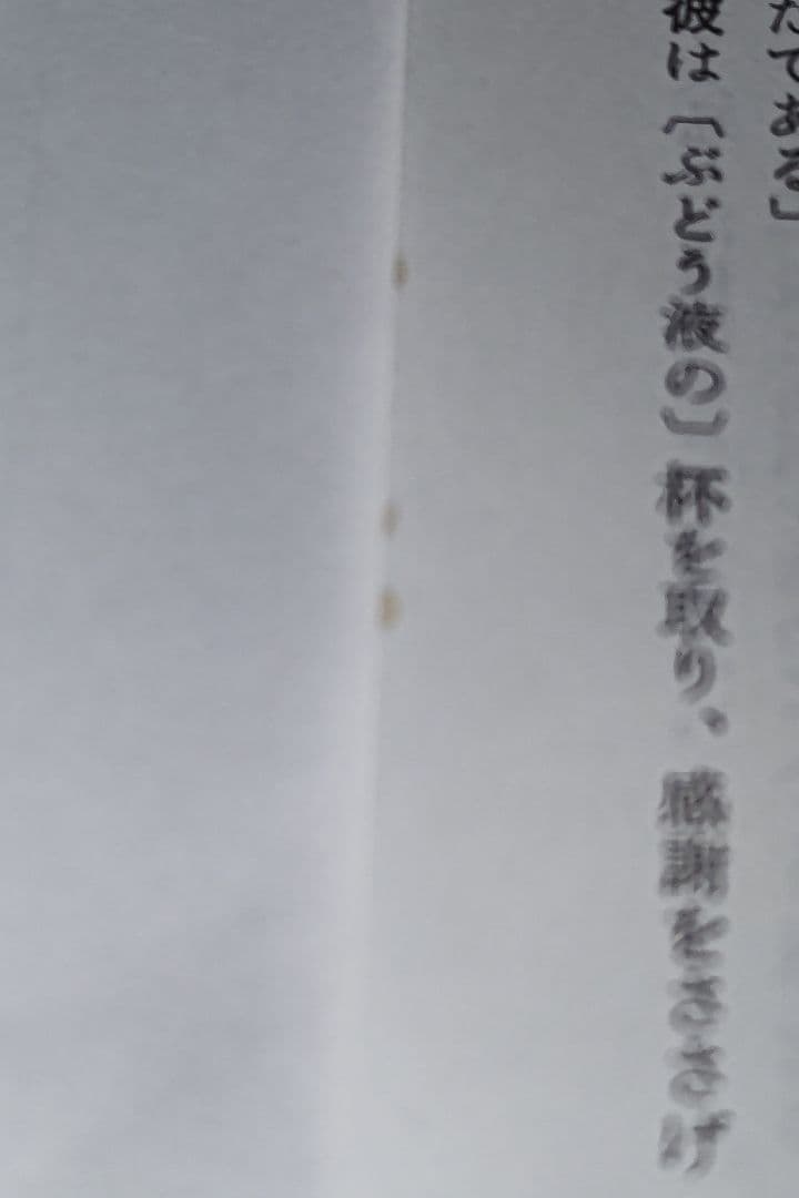 詳訳聖書 第12版