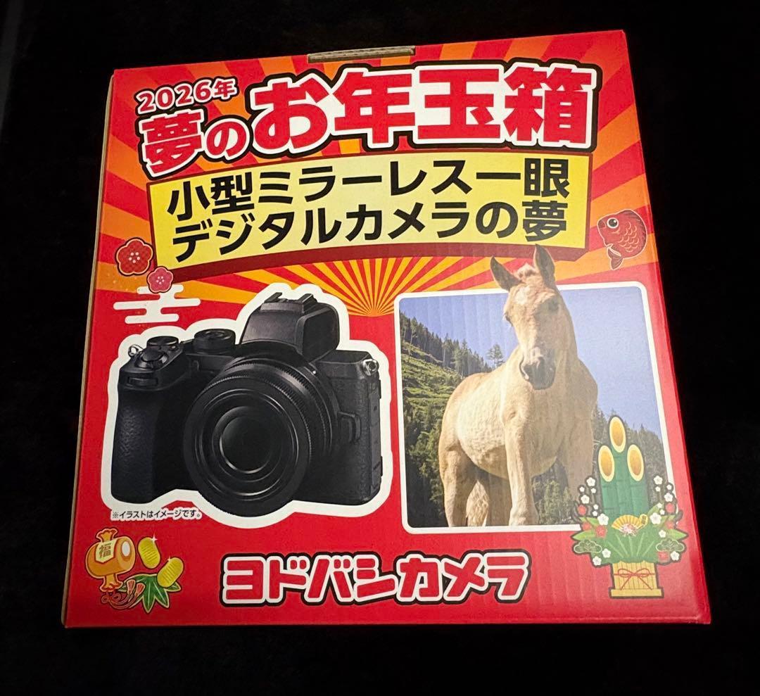 ヨドバシカメラ 夢のお年玉箱 2026 小型ミラーレス一眼デジタルカメラの夢