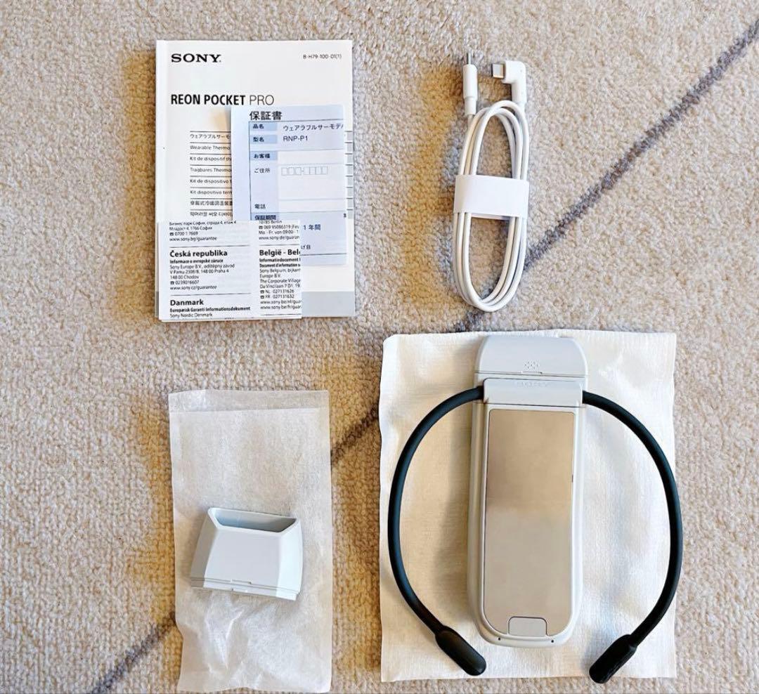 【極美品】REON POCKET PRO