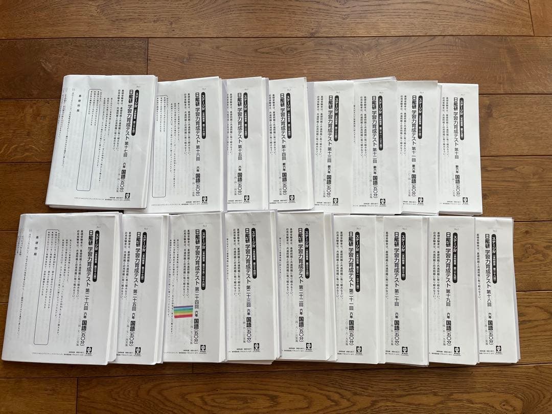 日能研2024年 ６年生前期4科 育成テスト全17回・新６年スタートチェック