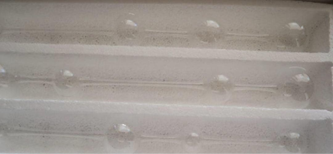 【にゃんこ】 イッタラ　アテネの朝