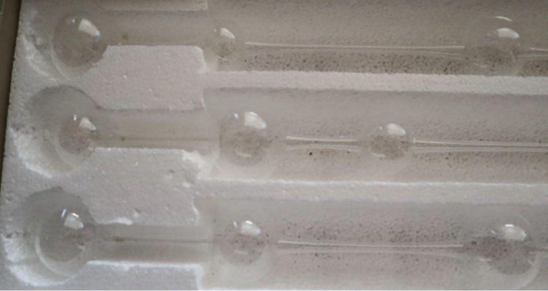 【にゃんこ】 イッタラ　アテネの朝