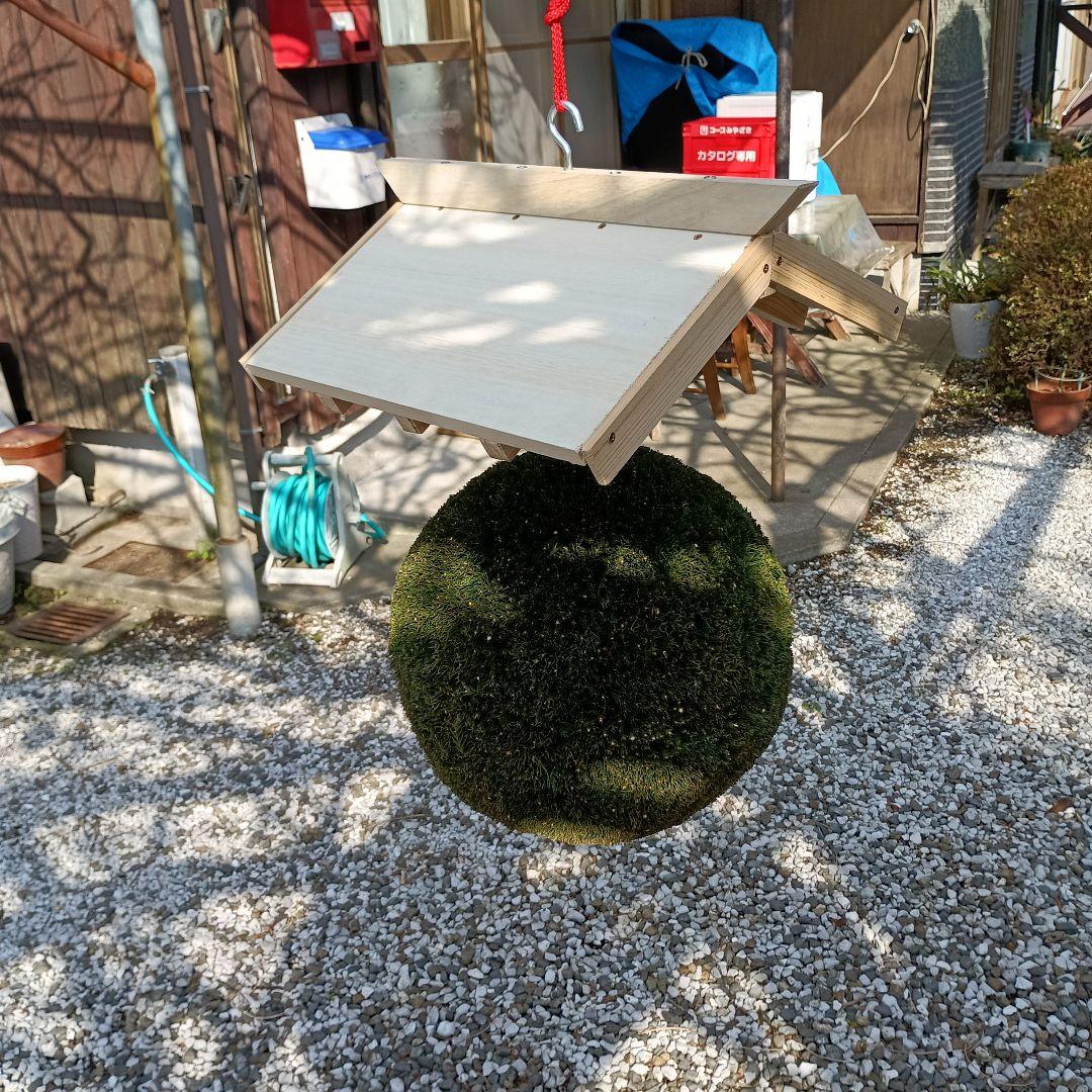 杉玉　直径約33cm　屋根(白木作り）付き