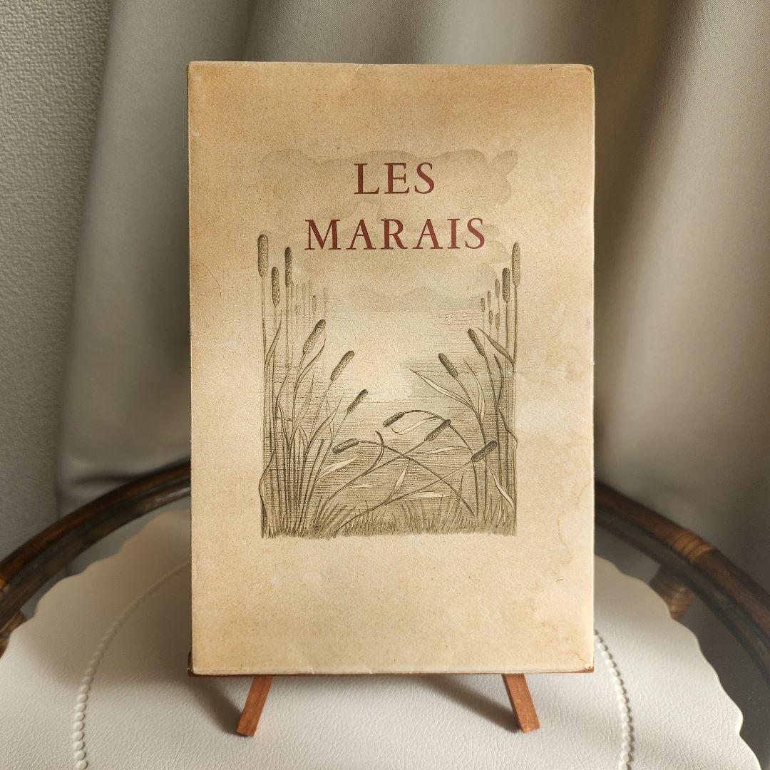 ☆超希少☆ 洋書 羊皮紙 古書 フランス小説 ヴィンテージ ジャンクジャーナル