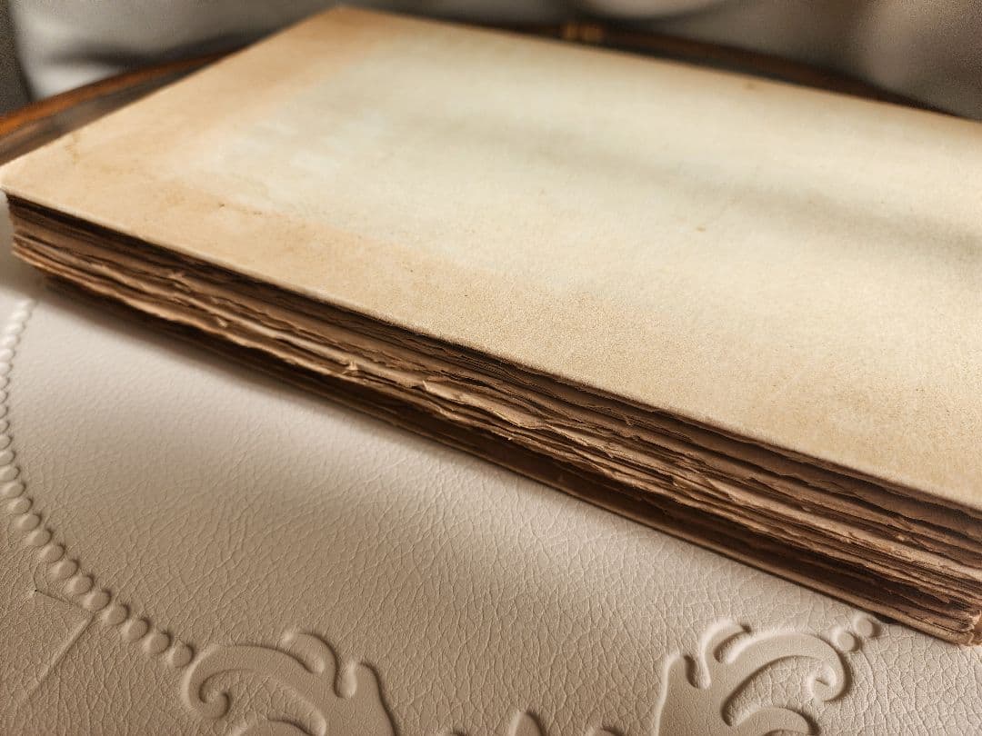 ☆超希少☆ 洋書 羊皮紙 古書 フランス小説 ヴィンテージ ジャンクジャーナル