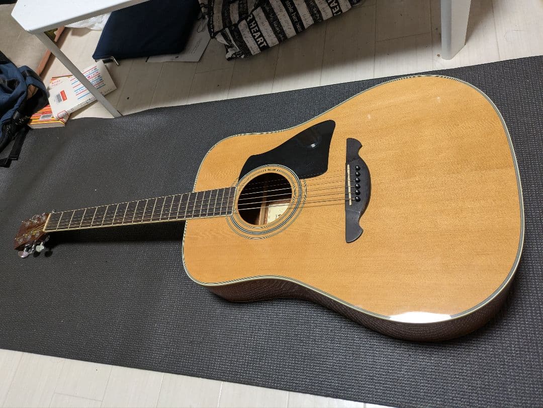 James JD400 アコースティックギター　ケース付き