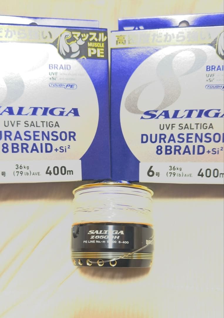 美品　DAIWA ソルティガZ6500H DOGFIGHT