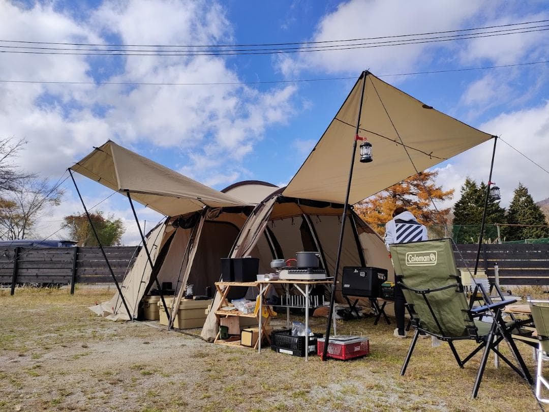 【1回のみ使用美品】サバティカル　アルニカ