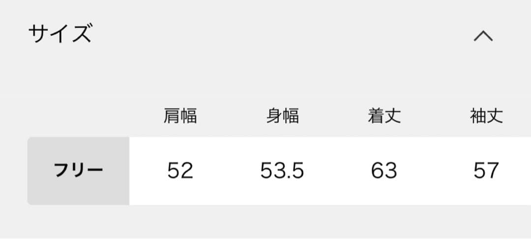 【AMERICANA/アメリカーナ】1968 hooded Pullover