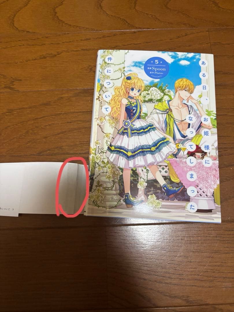 ある日、お姫様になってしまった件について 1-12巻 漫画 おまけ付き ある姫