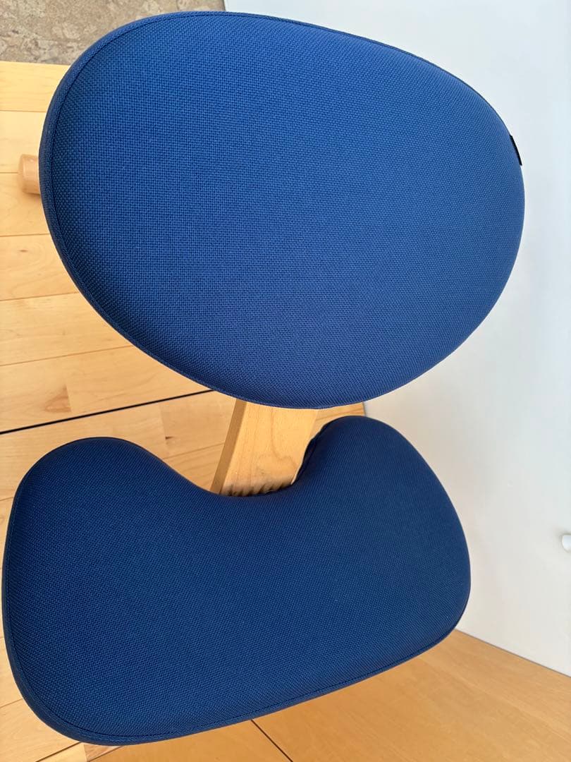 サカモトハウス バランスイージー バランスチェア 通常フレーム