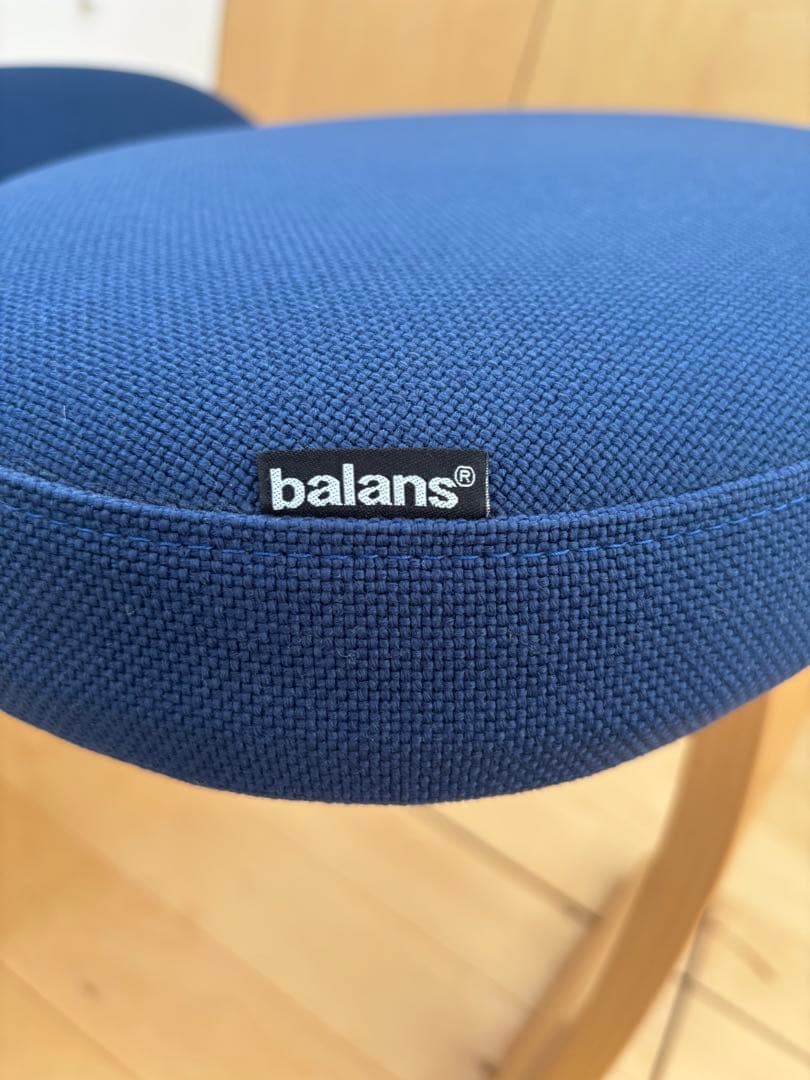 サカモトハウス バランスイージー バランスチェア 通常フレーム