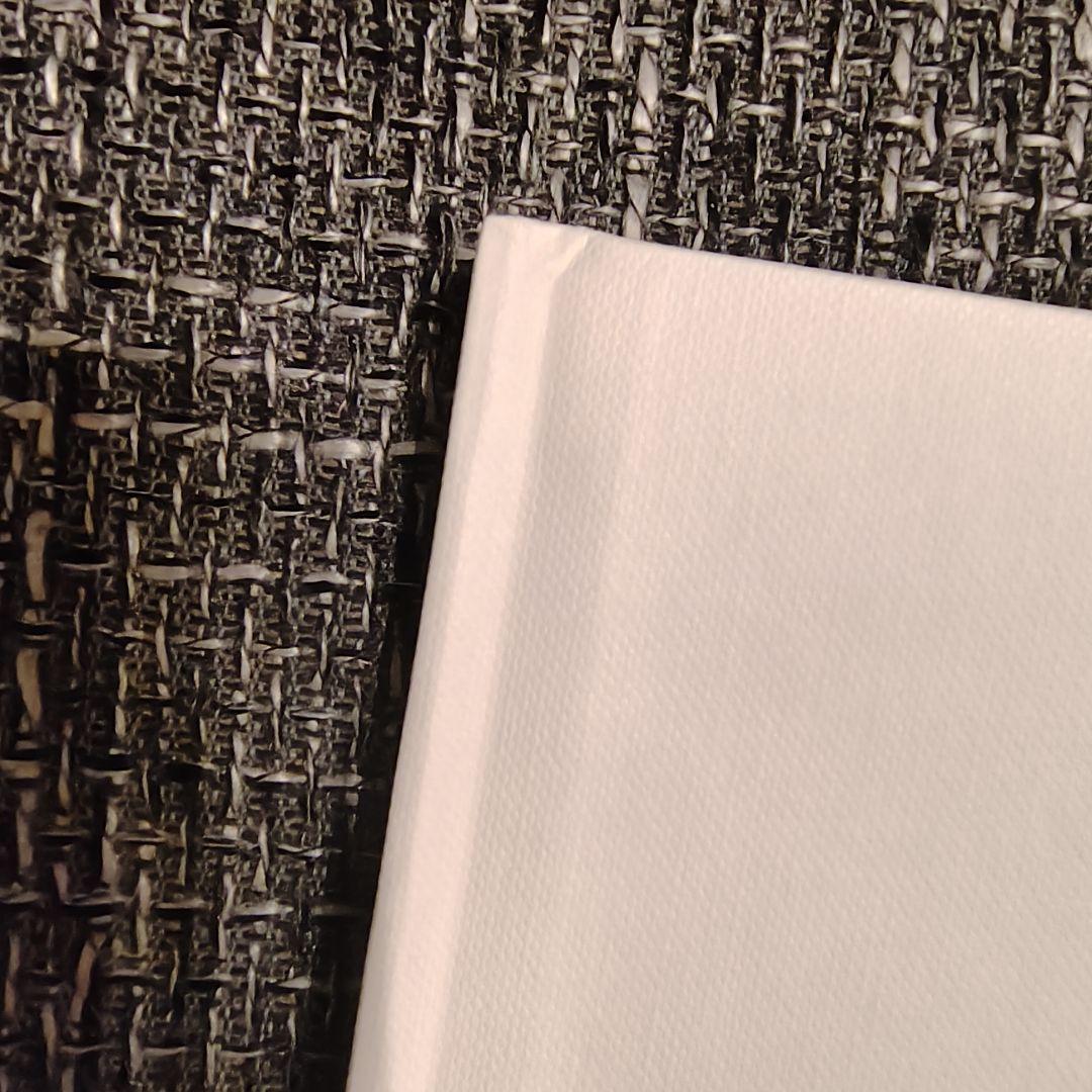 新品　キミ・ライコネン　俳句集