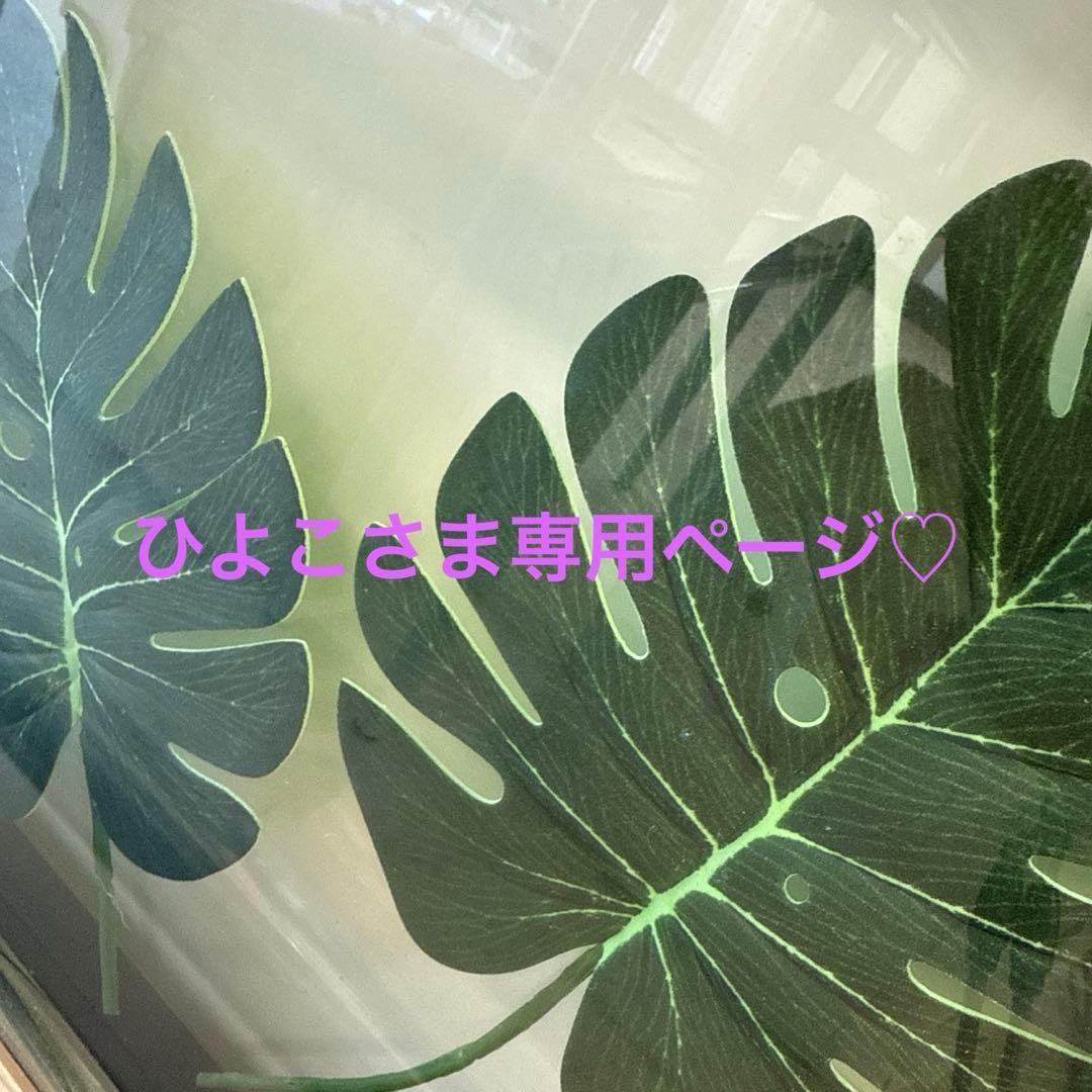 ひよこさま専用ページ♡