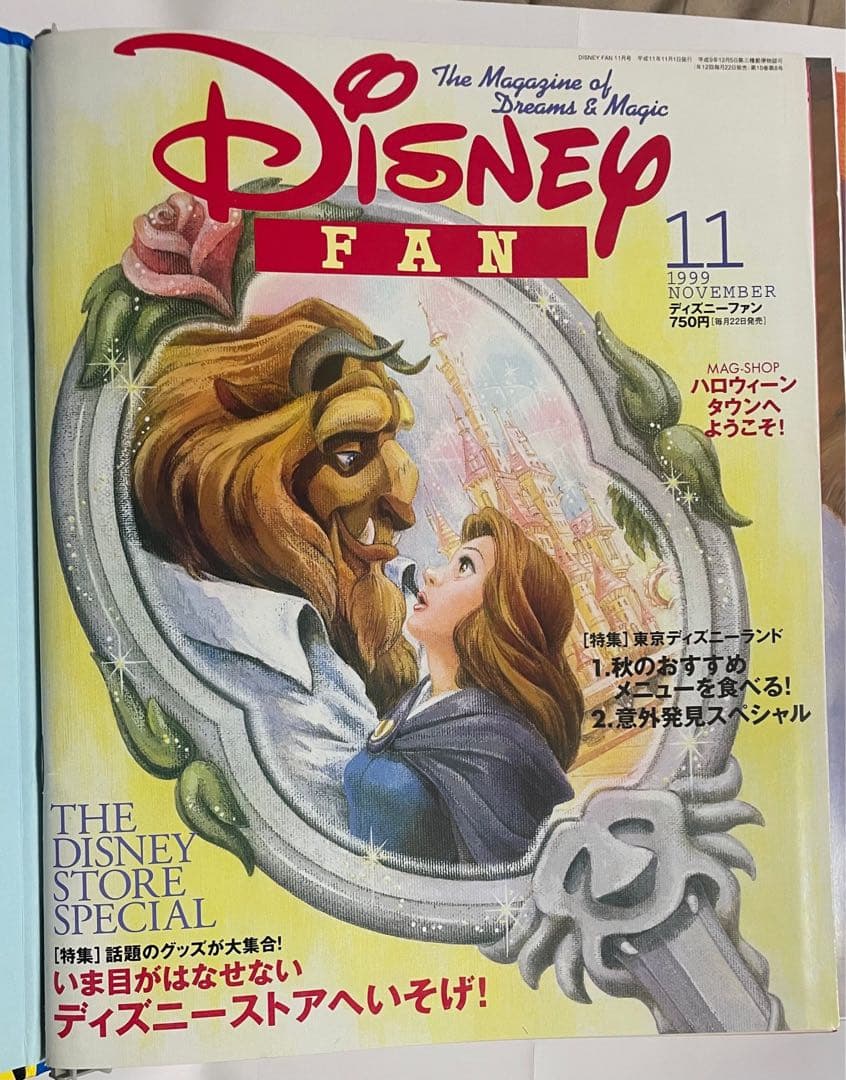 美品コンプリートver. ハードファイルカバー付 ディズニーファン