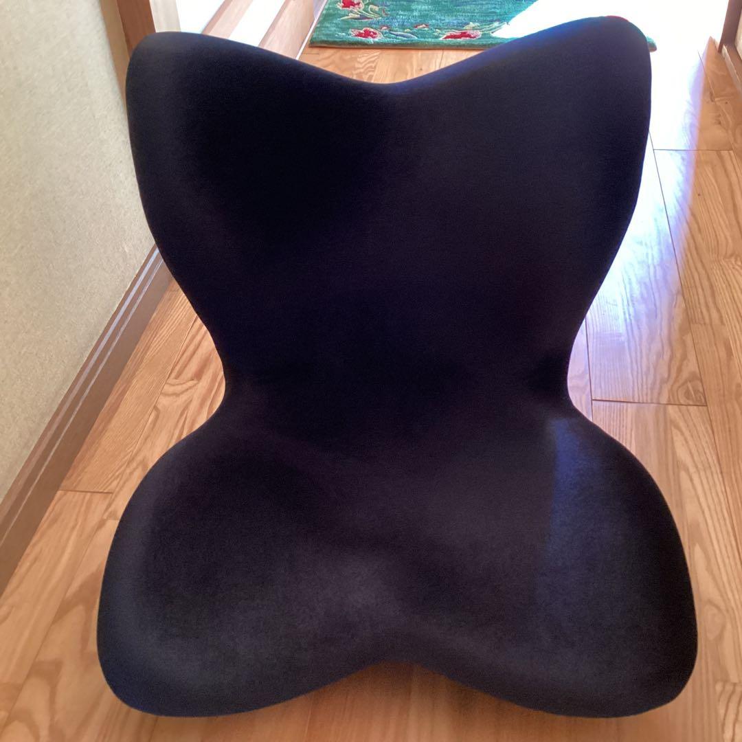 Style PREMIUM DX MTG スタイル骨盤 超美品