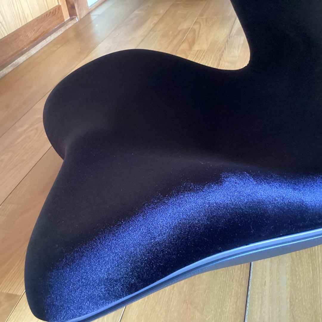 Style PREMIUM DX MTG スタイル骨盤 超美品