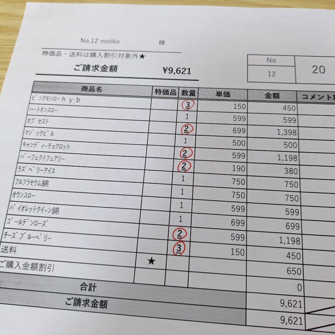 12 noriko多肉植物販売会